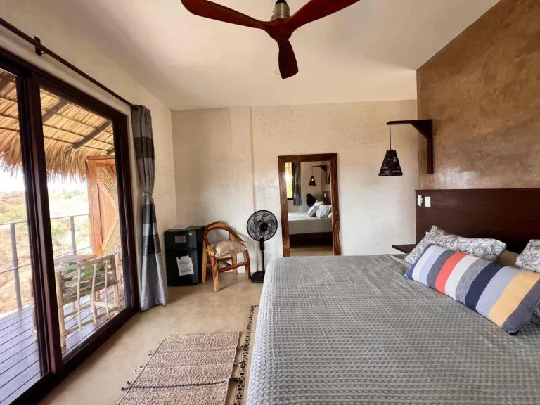 Interior de la Suite 3 con planta tropical y luz natural