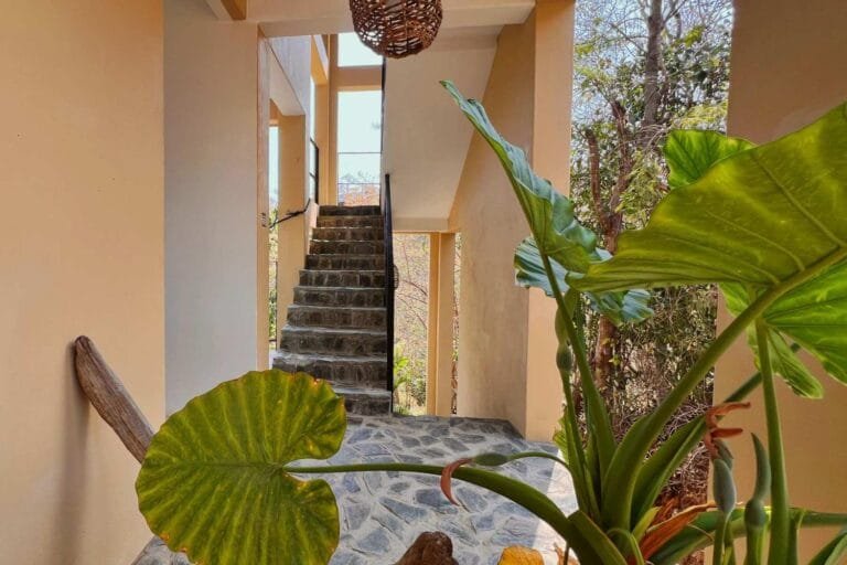 Escalera entre plantas tropicales que lleva a las suites de Casa La Vista