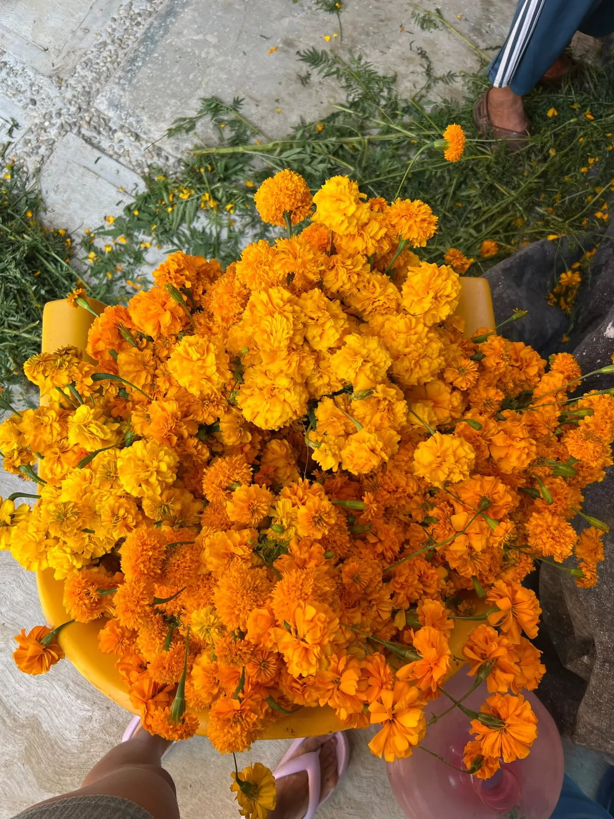 Canasta con flores de cempasúchil para el Día de Muertos en Mazunte