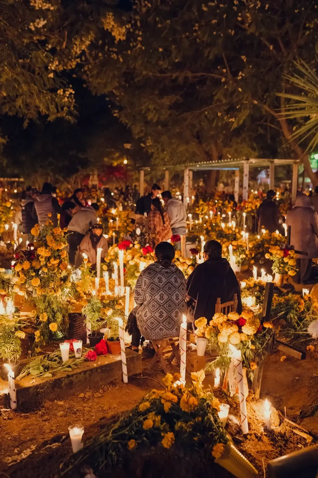 Familias sentadas junto a tumbas llenas de cempasúchil y velas en un panteón de Oaxaca durante la noche de Día de Muertos