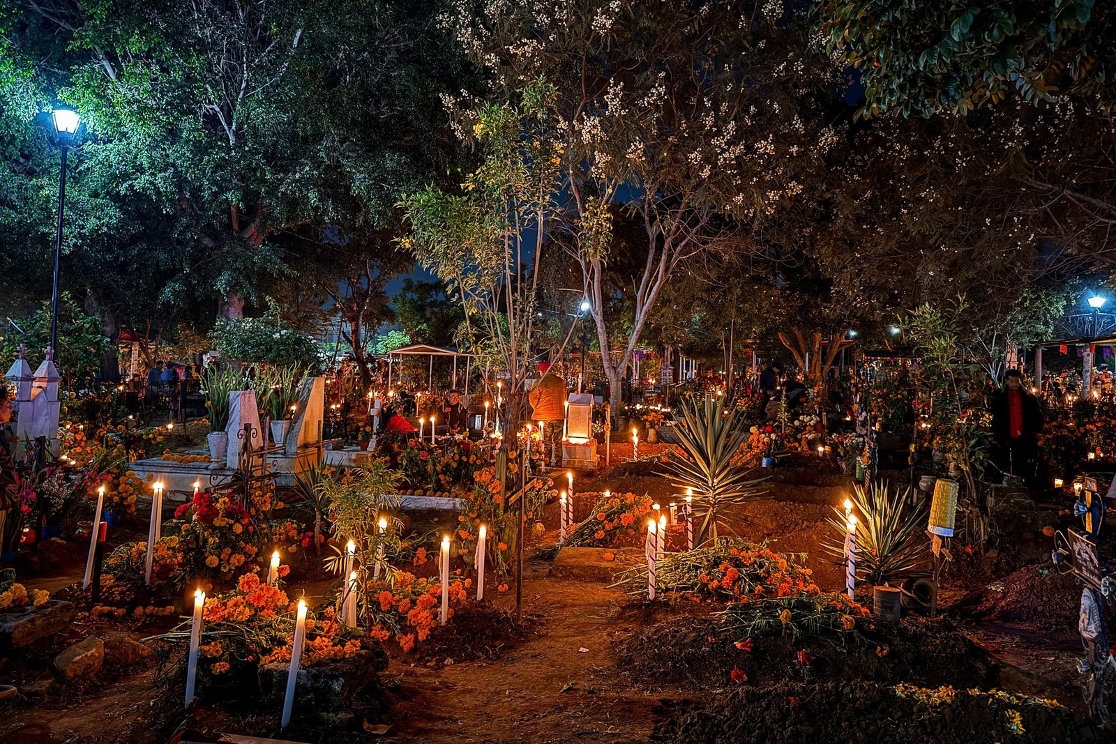 Vista general de un panteón de Oaxaca iluminado por velas y lleno de flores de cempasúchil en Día de Muertos
