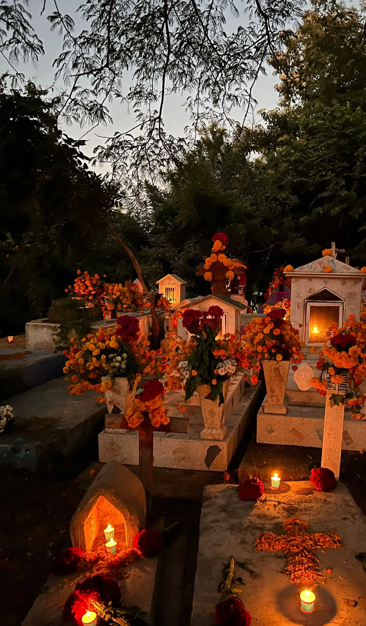 Tumbas decoradas con cempasúchil y velas al anochecer en el panteón de Mazunte